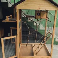 کلبه چوبی برای پرنده
