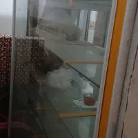 یخچال  فروشگاهی|فروشگاه و مغازه|شازند, |دیوار