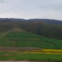 سرویس اداری