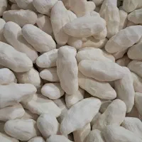 مستقیم از تولیدکننده عناب زرشک کشک مشتی و رشته‌ای