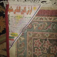 فروش فرش|فرش|گناباد, |دیوار