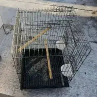 قفس کاسکویی بزرگ