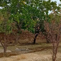 فروش-باغ