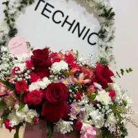 اجاره میز ناخن تخت مژه