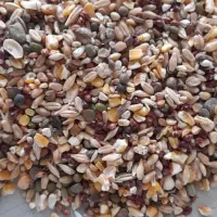 دانه سرا و ملزومات پرندگان آذر|لوازم جانبی حیوانات|میناب, |دیوار