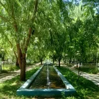 استخدام نیروی نظافتی جهت کار در باغ رستوران