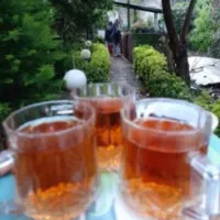 اگهی روزانه سوییت باحیاط وآلاچیق
