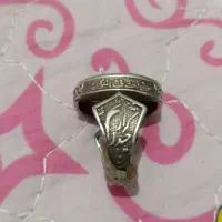 شجر کبود نقره