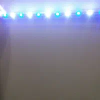 چراغ اکواریوم|ماهی|اهواز, سپیدار|دیوار