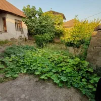 ویلا باغ ۵۱۰متری جاده امل بابل