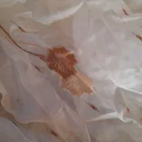 پرده با طرح زیبا و رو میزی|پرده، رانر، رومیزی|قم, انصارالحسین|دیوار