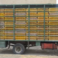 خاور 808مدل 1369|خودرو سنگین|سنندج, |دیوار