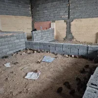 اجاره سوله مخصوص بلدرچین و سایر پرندگان