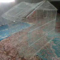 دوتا قفس. طوطی. ومرغ عشق کلبه ای. 700.|لوازم جانبی حیوانات|بم, |دیوار