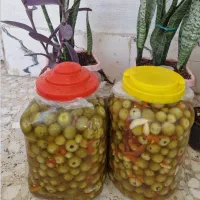 ترشی سپستون