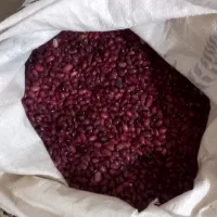 لوبیا قرمز|عمدهفروشی|بیرانوند, |دیوار