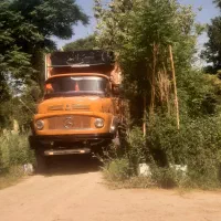 بنز باری ۵۰