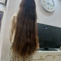 تک شعبه مرکزمو