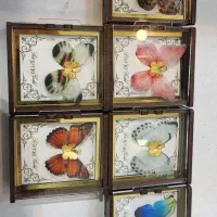 طلای مینیمال|جواهرات|فسا, |دیوار