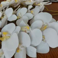 ارکیده لمسی|گل مصنوعی|مشهد, نیروی هوایی|دیوار