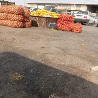 اجتماعی