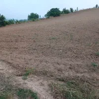 فروش-زمین-زراعتی-باغی