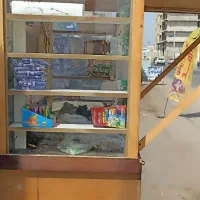 دکه فروشی|فروشگاه و مغازه|چابهار, |دیوار