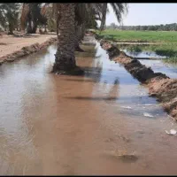 اجاره ۱۰ هکتار زمین کشاورزی آب شیرین هندوانه|اجارهٔ دفتر صنعتی، کشاورزی، تجاری|ایرانشهر, |دیوار