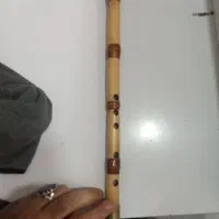 نی دومهر سل