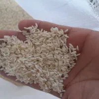 فروش برنج کاظمی ۲۵۵|خوردنی و آشامیدنی|دورود, |دیوار