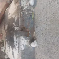 باک پشتی دنگ فنگ