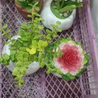 فروش انواع خمیر وگل وکاکتوس|مجسمه، تندیس، ماکت|بندر کنگان, |دیوار