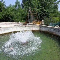 استخر پرورش ماهی سردابی|فروش دفتر صنعتی، کشاورزی، تجاری|شاندرمن, |دیوار