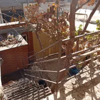 فروش خانه ویلایی|فروش خانه و ویلا|نیشابور, گنبد سبز|دیوار