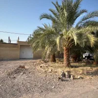 خانه فروشی|فروش خانه و ویلا|بم, |دیوار