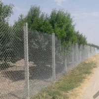 فنس کشی|خدمات باغبانی و درختکاری|زنجان, |دیوار