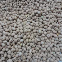 فروش‌نخود‌ابگوشتی|خوردنی و آشامیدنی|مینودشت, |دیوار