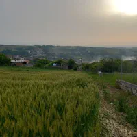 فروش زمین ۵۵۰ متری|فروش زمین و ملک کلنگی|نکا, |دیوار