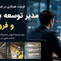 مدیر توسعه بازار و رشد فروش