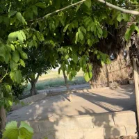 فروش ۲ هکتار در گل سرخ|فروش دفتر صنعتی، کشاورزی، تجاری|شیراز, گل سرخ|دیوار