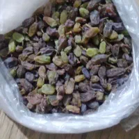 فروش کشمش سبز و کشمش آفتابی|خوردنی و آشامیدنی|بوانات, |دیوار