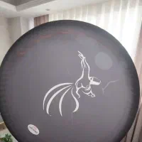 ساز دف موسقی