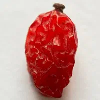 ادمین حرفه ای