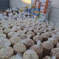پخش تخمه بندرعباس وحاجی آباد