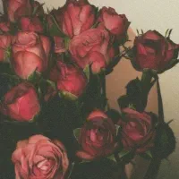 ابزار کار با ویترای ( نقاشی روی شیشه)