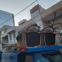 حمل و خدمات وانت تلفنی با تخفیف ویژه|خدمات حمل و نقل|کرمانشاه, |دیوار