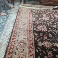 فرش ۱۲۰۰ شانه طرح قدیم پر تراکم محمدرضا  تراکم|فرش|اندیشه, اندیشه فاز ۱|دیوار