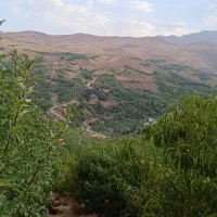 انجام کلیه کار های باغبانی و باغچه