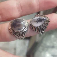 شجر|کلکسیون اشیاء عتیقه|قزوین, |دیوار