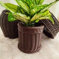 سبد حصیری|صنایع دستی و سایر لوازم تزئینی|ابریشم, |دیوار